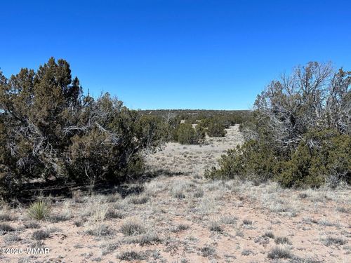 004A N N7204, St. Johns, AZ, 85936 | Card Image