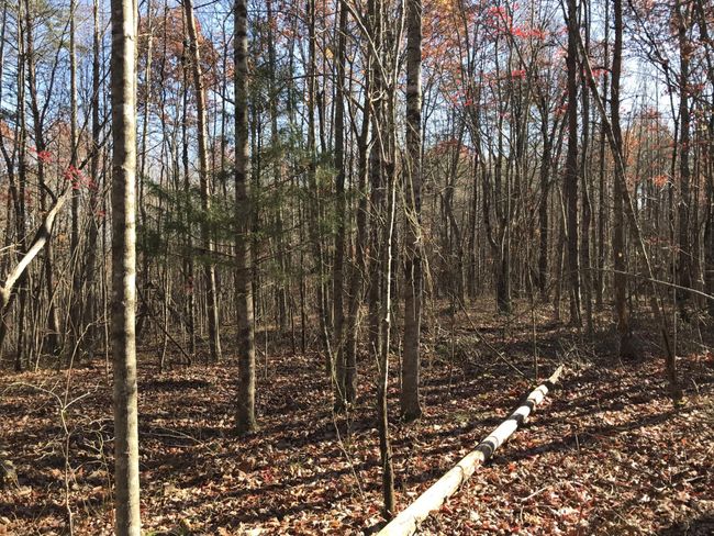 6 Hobbstown Rd, Home with 0 bedrooms, 0 bathrooms and null parking in Dunlap TN | Image 11