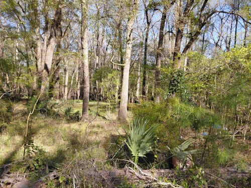 Lot 2 & 3 Gator Cv, Ridgeville, SC, 29472-3043 | Card Image