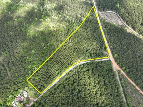 1 Cr 4300, Woodville, TX, 75979 | Card Image