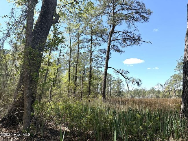 48 Sunset Point Rd, Home with 0 bedrooms, 0 bathrooms and null parking in Belhaven NC | Image 17