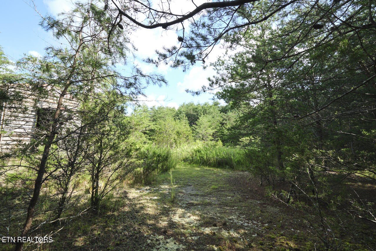 Land in Blaine 4