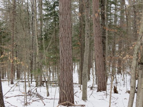 00 Algonquin Ln, Jay, NY, 12941 | Card Image