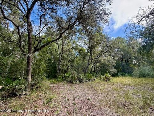 0 Gresham Rd, WEBSTER, FL, 33597 | Card Image