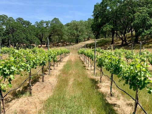 0 Hayes Ln, San Martin, CA, 95046 | Card Image