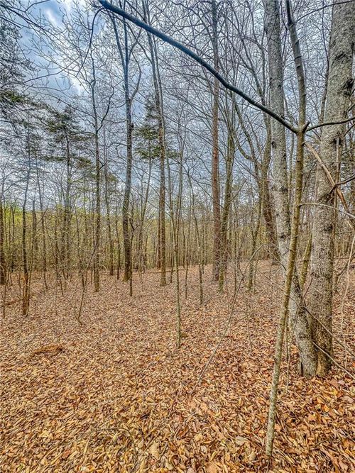 0 Green Mdws, Dahlonega, GA, 30533 | Card Image