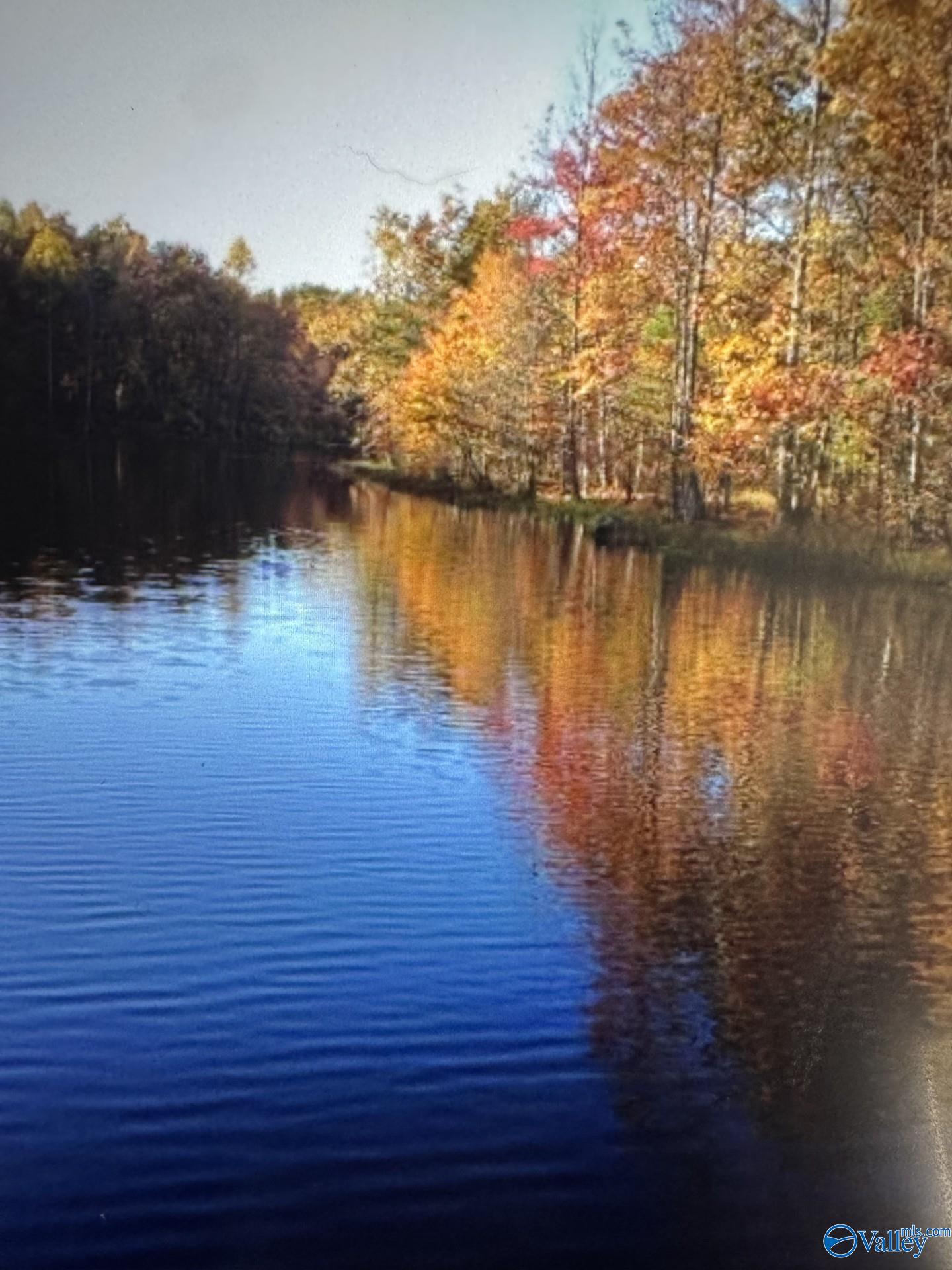 Land in Woodville 2