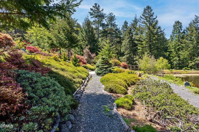 Garden | Image 63
