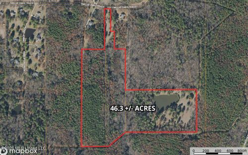 229 12 Oaks Trace, Canton, MS, 39046 | Card Image