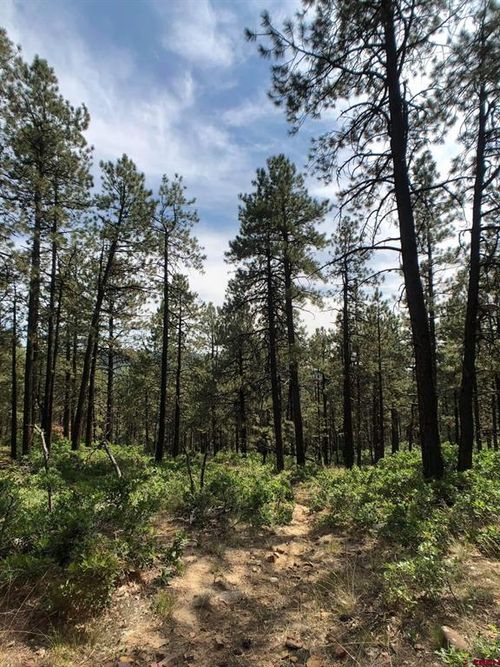 TBD Jackalope Dr, Bayfield, CO, 81122 | Card Image