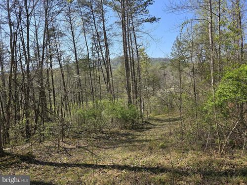 LOT 1 S F T Valley Rd, MADISON, VA, 22727-3957 | Card Image