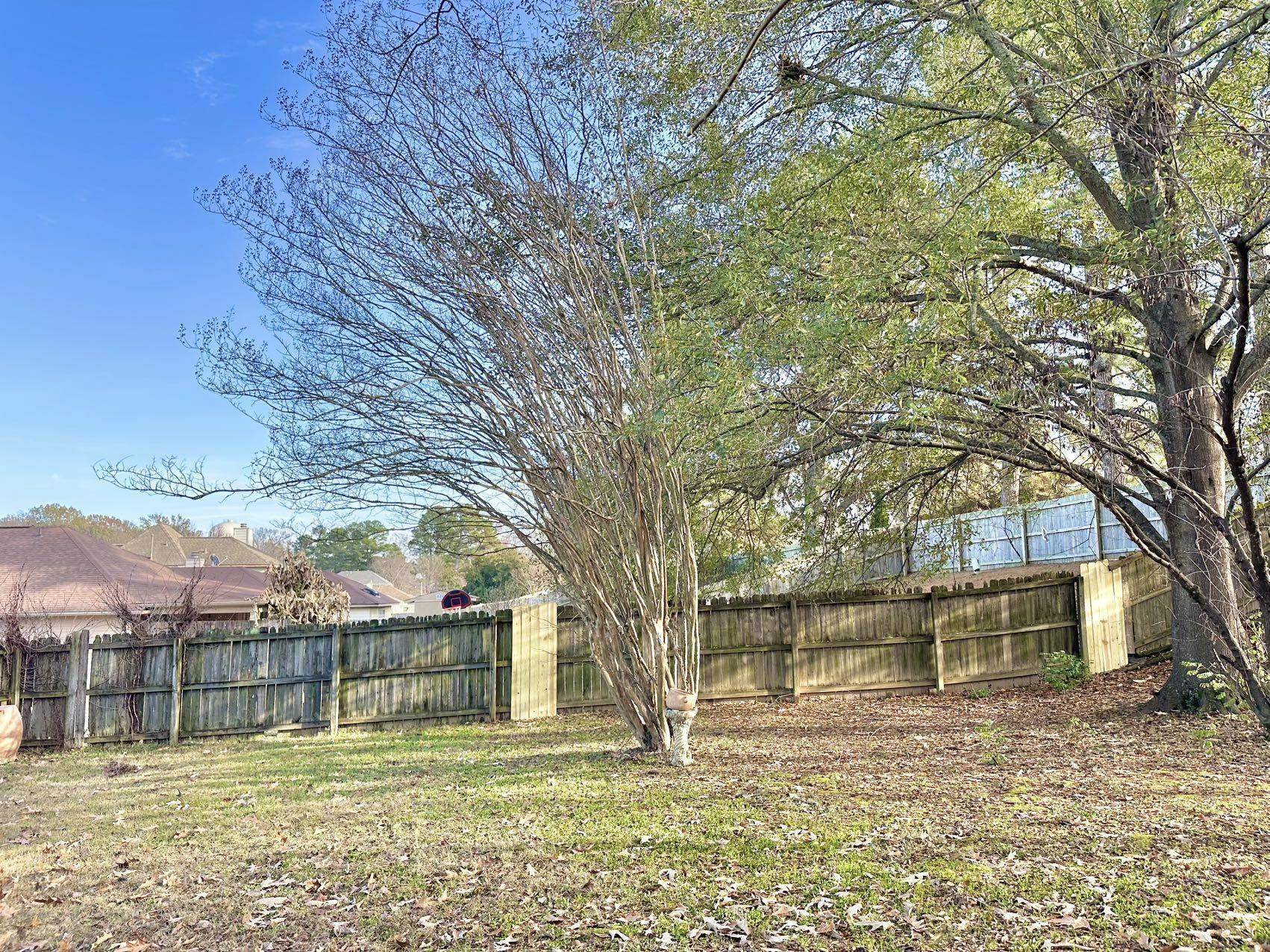 Residential Lease in Bartlett 2