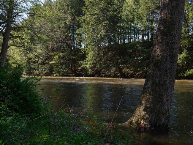 1181 County Highway 44, House other with 3 bedrooms, 2 bathrooms and null parking in Franklin NY | Image 25