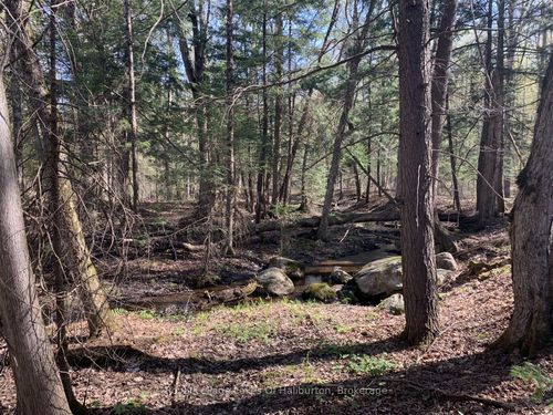 0 Kashagawigamog Lake Rd, Haliburton, ON, K0M1S0 | Card Image