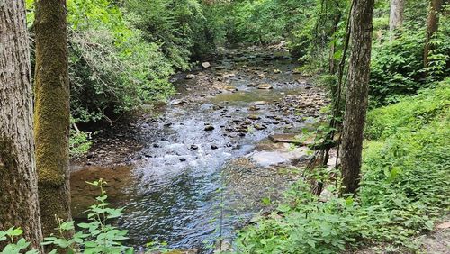 38 AC Tumbling Creek Rd, Copperhill, TN, 37317 | Card Image