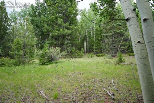 1406 Monarch Dr, Cripple Creek, CO, 80813 | Card Image
