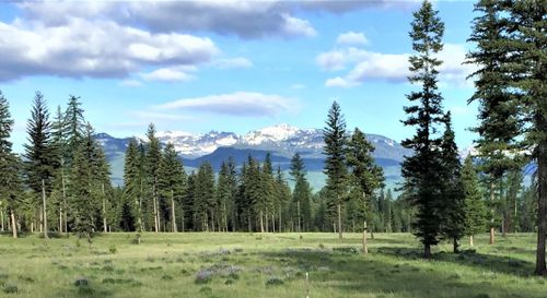865 Remicks Rd, Condon, MT, 59826 | Card Image