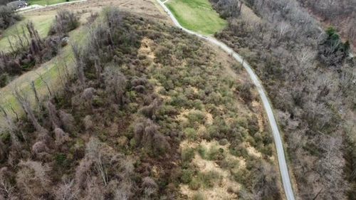 TBA Alexander Est, Triadelphia, WV, 26059 | Card Image