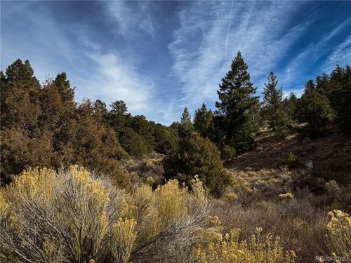 00 Jaidi Rd, Fort Garland, CO, 81133 | Card Image