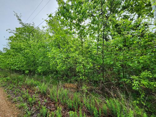 Tract 3 Easy St, Pittsburg, MO, 65724 | Card Image