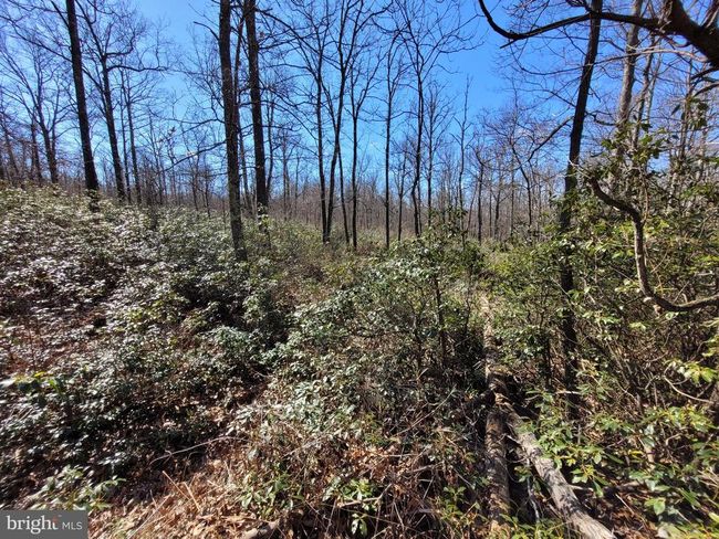 845 Hall Rd, House other with 1 bedrooms, 1 bathrooms and null parking in Clarence PA | Image 31