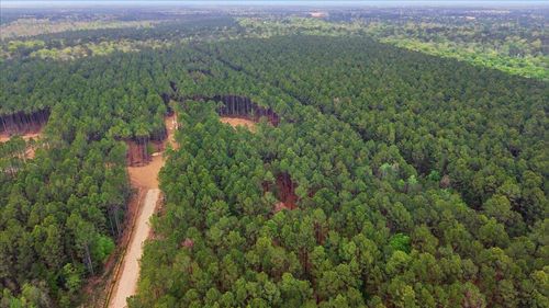 16201 Rustric Ranch Rd, Sour Lake, TX, 77659 | Card Image