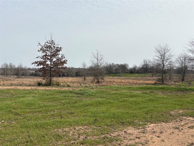 TRACT-0 - TBD County Road 2425, Home with 0 bedrooms, 0 bathrooms and null parking in Como TX | Image 6