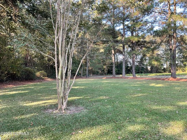 157 Dollie Ln, House other with 3 bedrooms, 2 bathrooms and null parking in Albertson NC | Image 12
