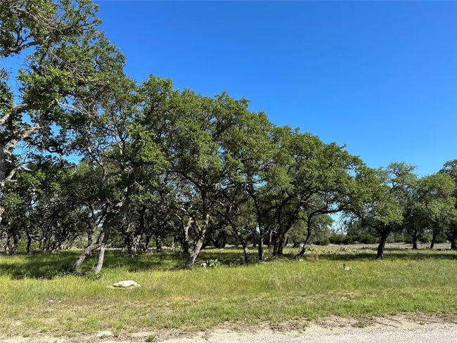 View of yard | Image 16