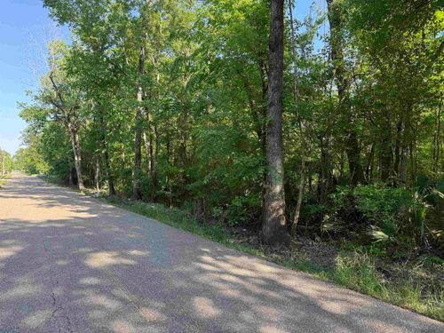 Tract 2-A-2 Melancon Rd, St Amant, LA, 70774 | Card Image