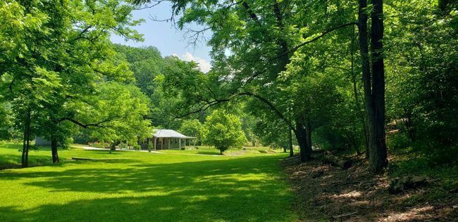 49 Je Sartain Rd, Home with 0 bedrooms, 0 bathrooms and null parking in Manchester TN | Image 52