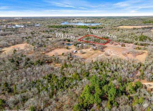 Lot 20, 21, 22 Fm 2339 (Callender Lake X), Murchison, TX, 75778 | Card Image