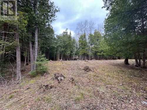 00 Snowdons Corners Rd, Merrickville, ON, K0G1N0 | Card Image