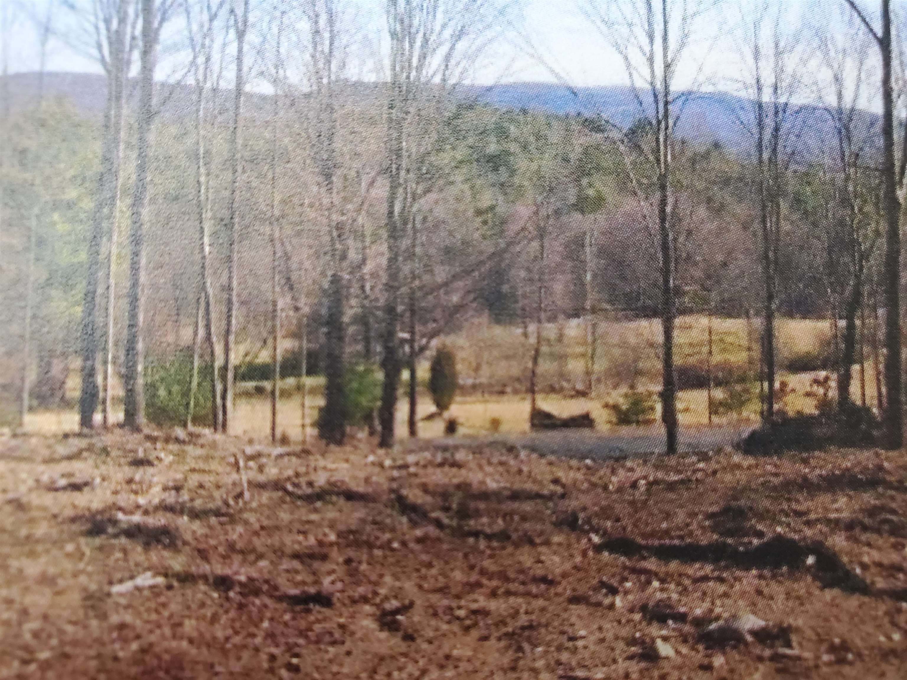 172 Old Chesterfield, Sold in Winchester Zoocasa