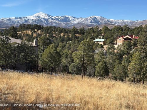 124 Willie Horton Dr, Ruidoso, NM, 88345-7708 | Card Image