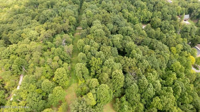 7 Vanmeter Cemetery Rd, Home with 0 bedrooms, 0 bathrooms and null parking in Bee Spring KY | Image 8