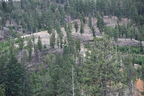 Nhn Medicine Springs Rd, Conner, MT, 59827 | Card Image