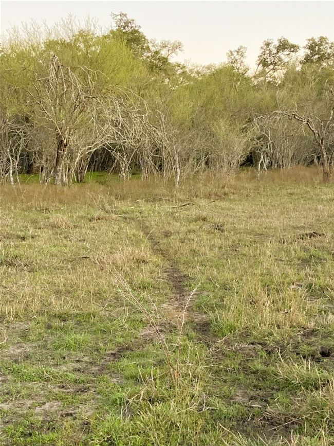 Game trail | Image 33