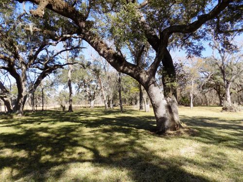 4 County Road 161 Shilo Loop, Cedar Lane, TX, 77415 | Card Image