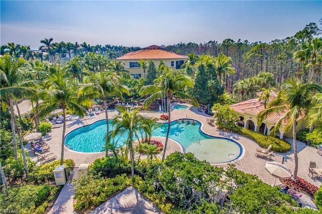 Castillo resort pool & spa with shallow wading & waterfall features | Image 40