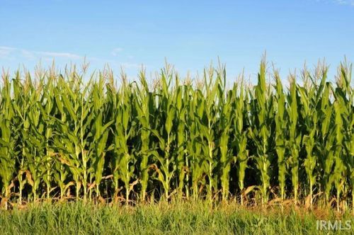 69 & 700 N, Van Buren, IN, 46991 | Card Image