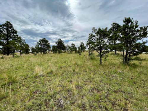 32011 Cattle Circle, Ramah, CO, 80832 | Card Image