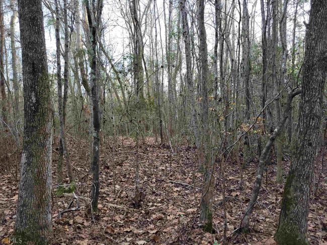 2757 Us Highway 1 N, Home with 0 bedrooms, 0 bathrooms and null parking in swainsboro GA | Image 38