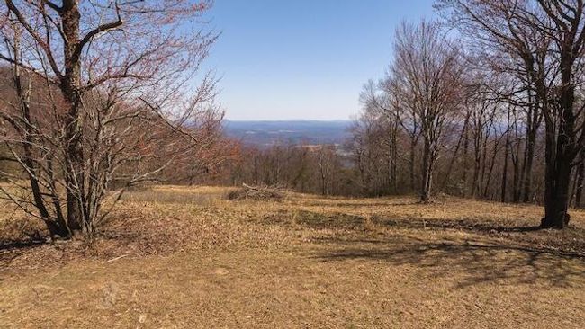 DJI_20250327121609_0743_D | Image 4
