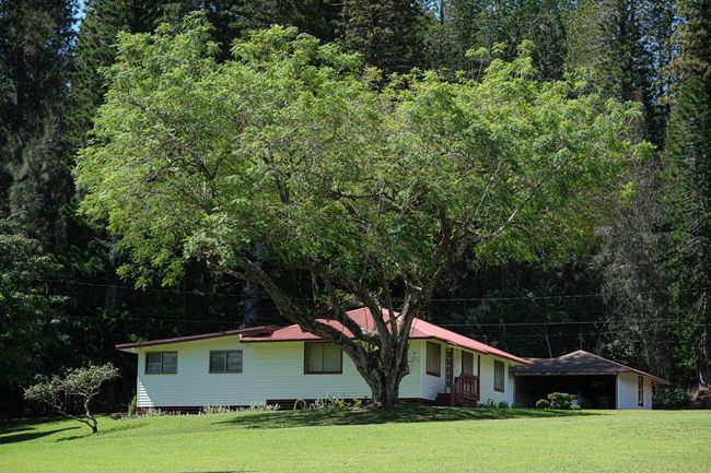 437 Hau Dr, House other with 3 bedrooms, 2 bathrooms and null parking in Lanai City HI | Image 28