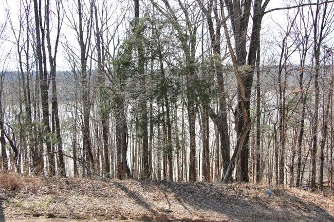 Lots 26 &amp; 27 Cherokee Road, Home with 0 bedrooms, 0 bathrooms and null parking in Lucas KY | Image 10