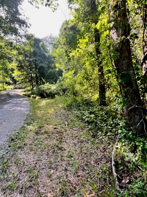 999999 Indian Camp Creek Rd, Hot Springs, NC, 28743 | Card Image