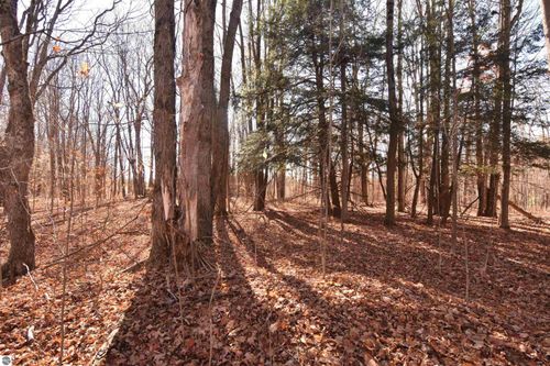 00 W M 115, Mesick, MI, 49668 | Card Image