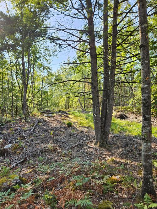 Lot A. Serenity Lane, Oxford, ME, 04270 | Card Image