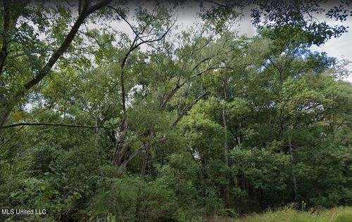 0 Dye Ave, Moss Point, MS, 39563 | Card Image